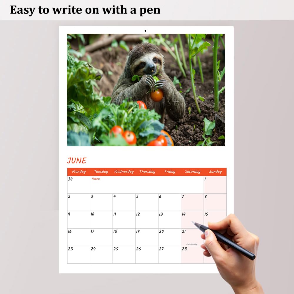 Sloth Calendar 2026 A4 12 Month View Wall Calendar 2026 A3 When Open Papa Prints (Sloth Stable), A4 Stapled - Sloth - Image 4