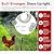 RentACoop Non-Electric Black Boundary Fence 48" x100' - Suitable for Chickens or Other Animals