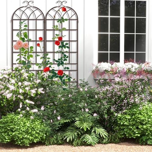 Image of LZRS 2 Pack 83x20in Rustic Iron Arch Decoration Garden Trellis with Metal Coating - Perfect for Supporting Climbing Plants Outdoor, Roses, Vines, Flowers, and Vegetables, Brown