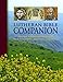 Lutheran Bible Companion Volume 2: Intertestamental, New Testament, and Bible Dictionary