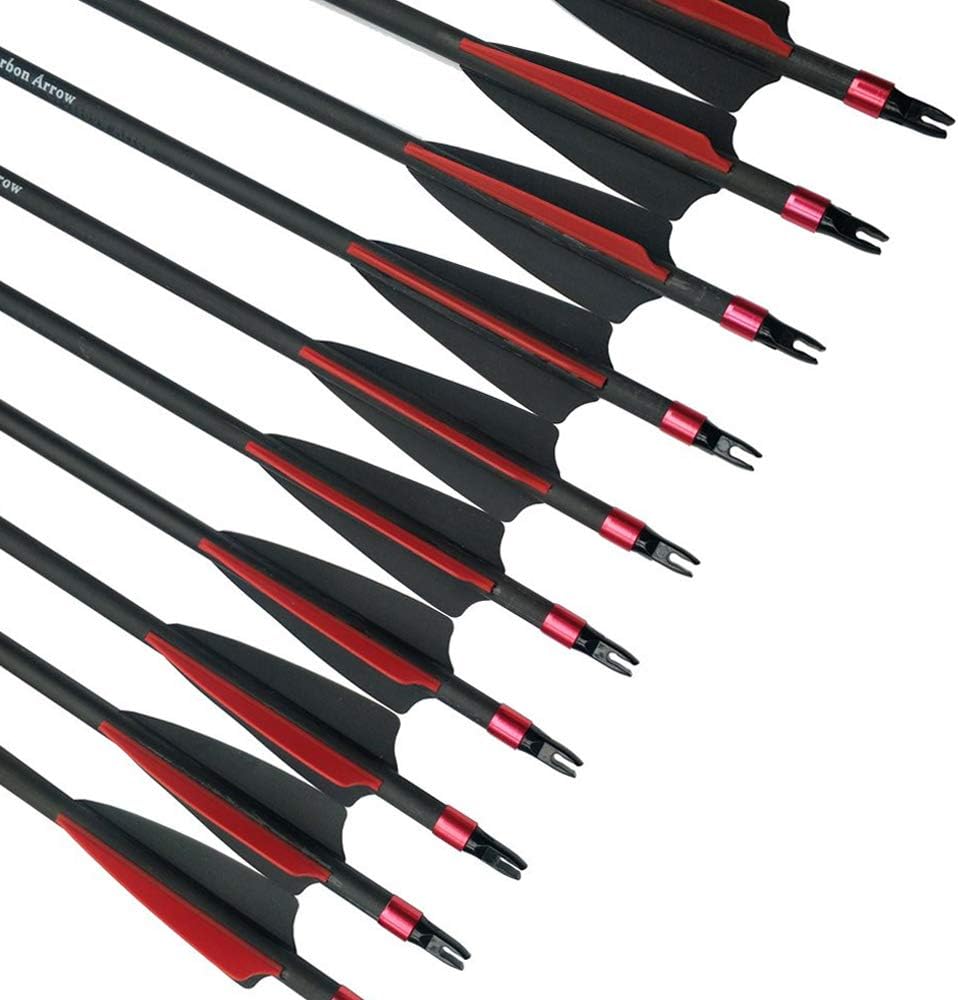 12 Pieces 30 Inch Carbon Arrow Archery Hunting Arrow Target Arrow Spine 400 Practice with 100 Grain Removable Field Point and Arrow Quiver Tube for Recuve Bow & Compound Bow