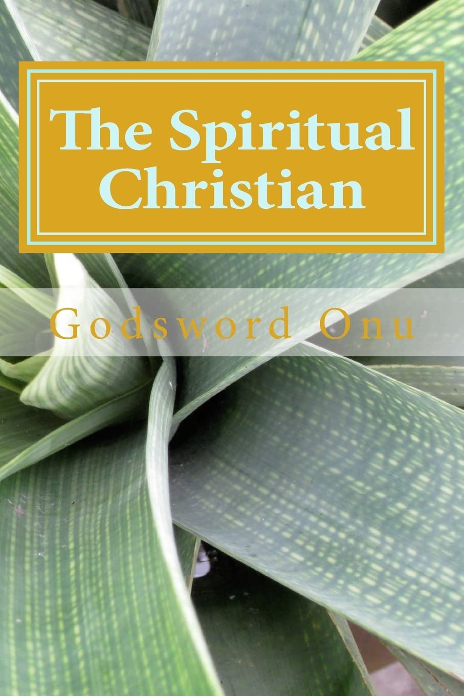 The Spiritual Christian: Avoiding Carnality As a Believer