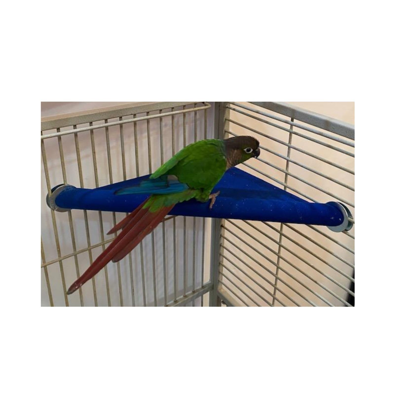 Polly's Lazy Loft Bird Perch for Parakeets, Cockatiels, African Greys, & Amazons (Large) (Large)