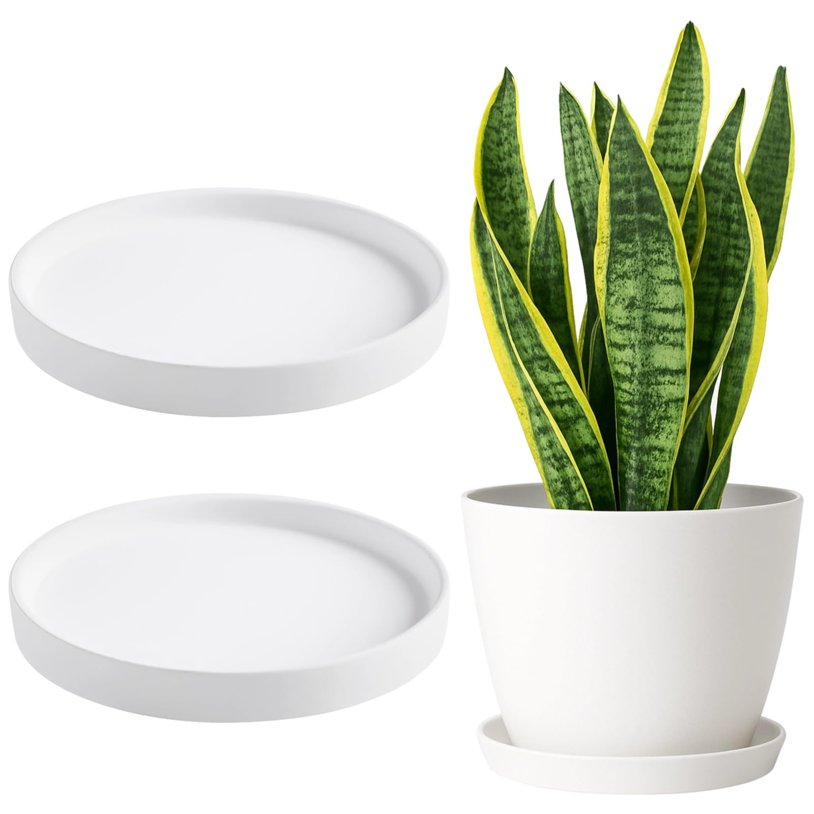 Soucoupe de pot de fleurs en céramique blanche pour sublimer le design de votre salon