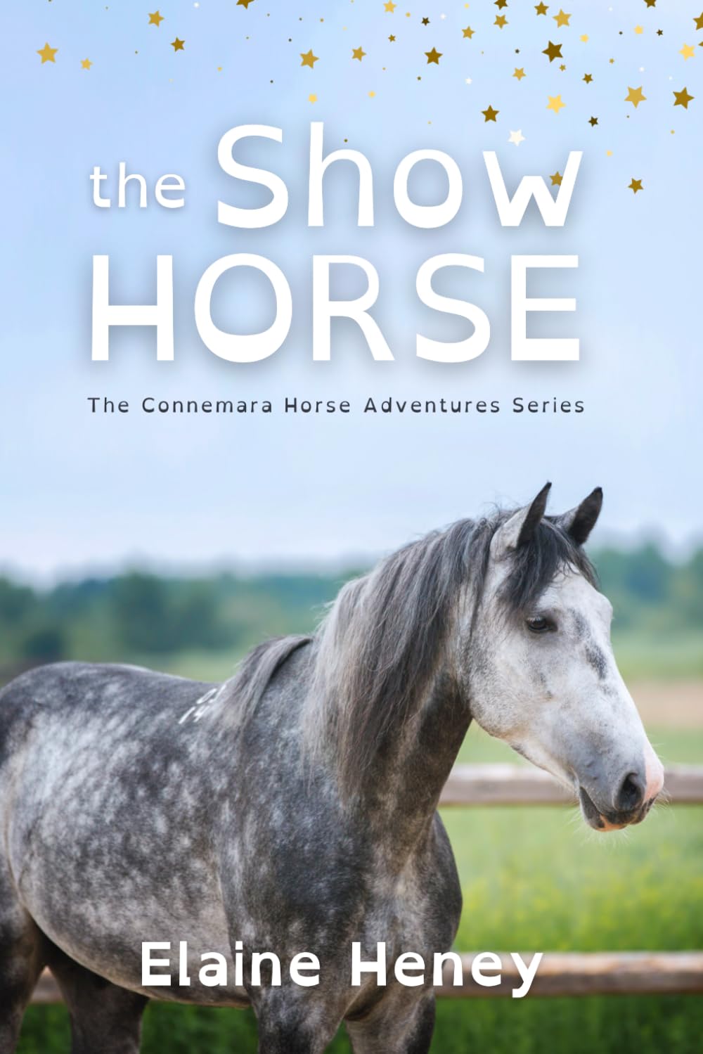 The Show Horse - Dyslexia Friendly: 2 (Connemara Pony Adventures Dyslexia Friendly)