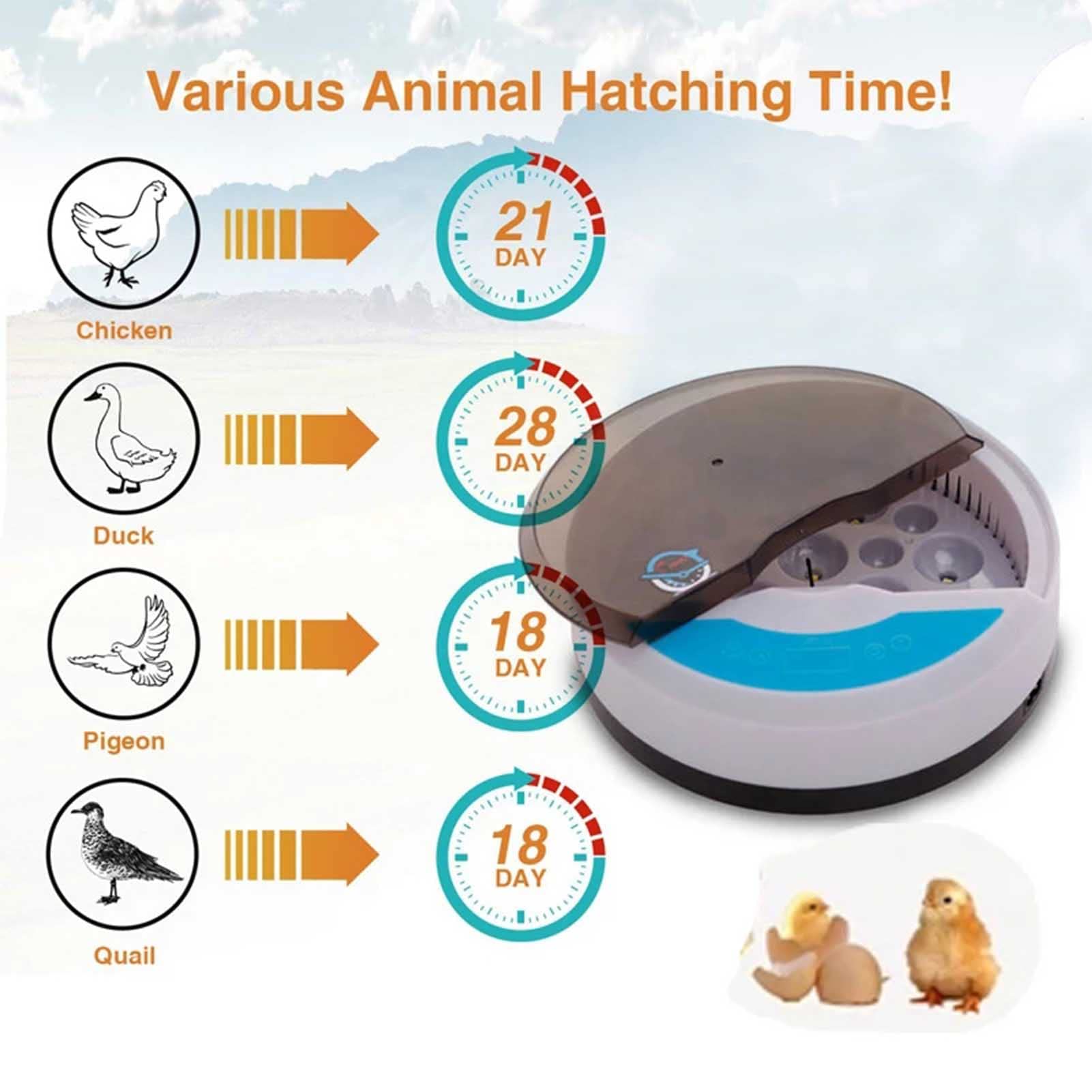 Ei-Inkubator 9 Eier, Inkubator Hühner Brutautomat Wärmeplatte Küken Brutapparat - für Hühner Wachteleier Vögel Ente Gänse (A 9 Eggs)