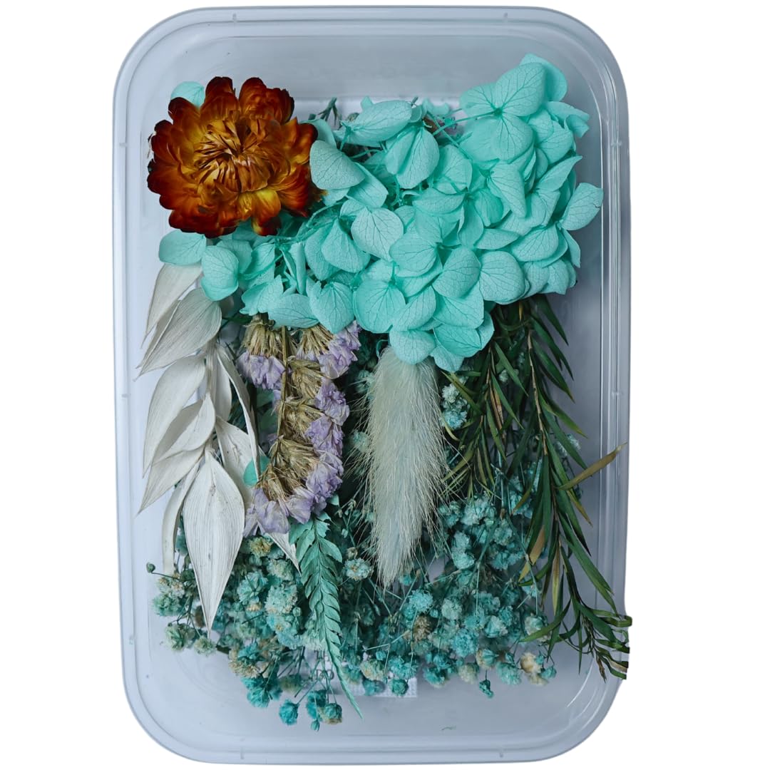 Aqua Marine Dry Flower Box These Flowers are Carefully Dried to Keep Their Colors and Shapes, so You can use Them in Jewelry, Coasters, Keychains, and Other Creative Pieces.-image-43