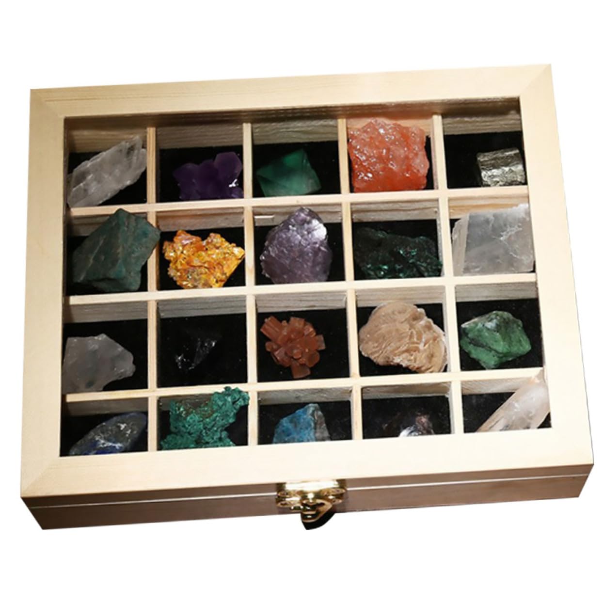 20 Stück Mineralien Natursteine Sammlungsbox Geologische Lehrmittel für Aquarium Garten Wohnzimmer Schlafzimmer