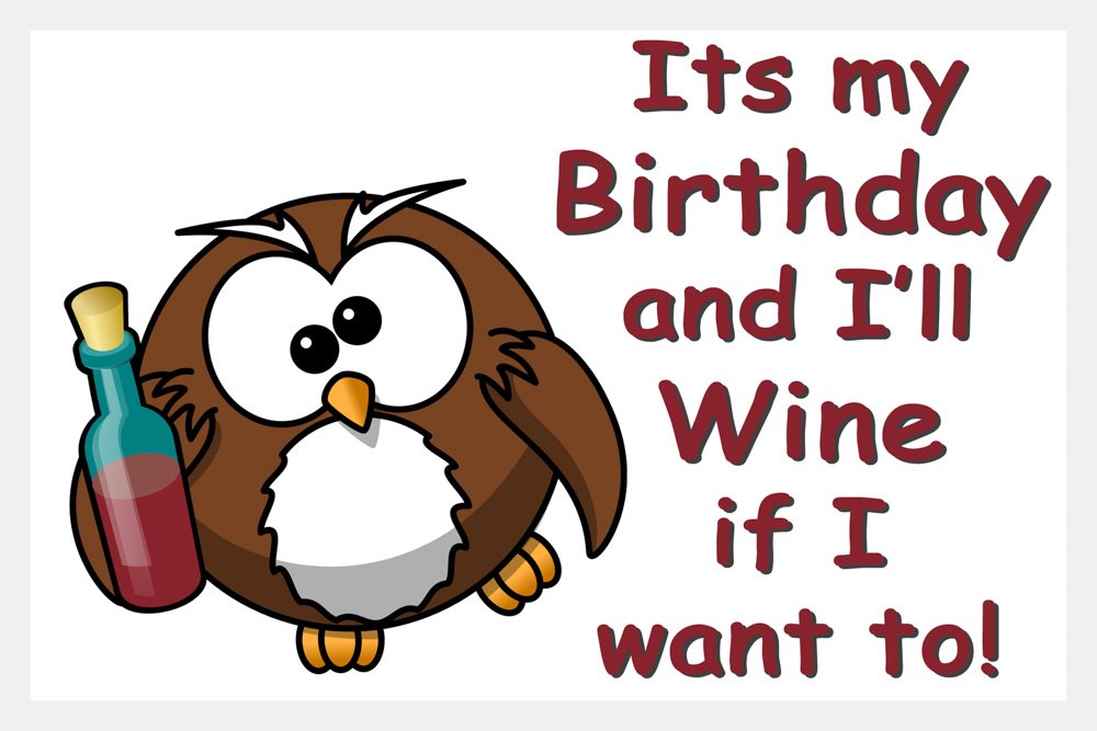 Funny Owl Fridge Magnet Gift. Ideal Birthday Gift for Wine Drinking owl Lover.