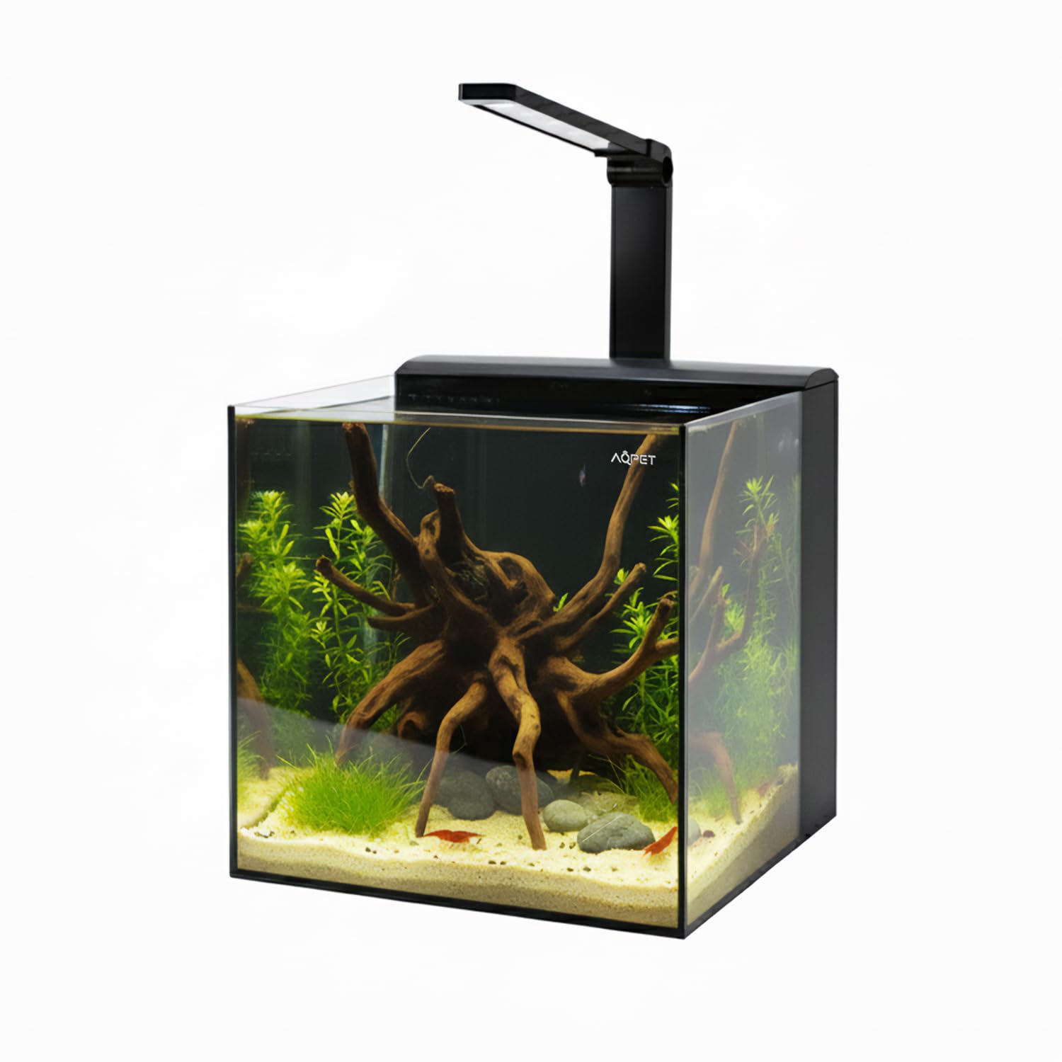 Aqpet Acquario Completo Kubic Rear in Vetro Extrachiaro con Sistema filtrante integrato e Luce Led inclusa 30x30x30 cm
