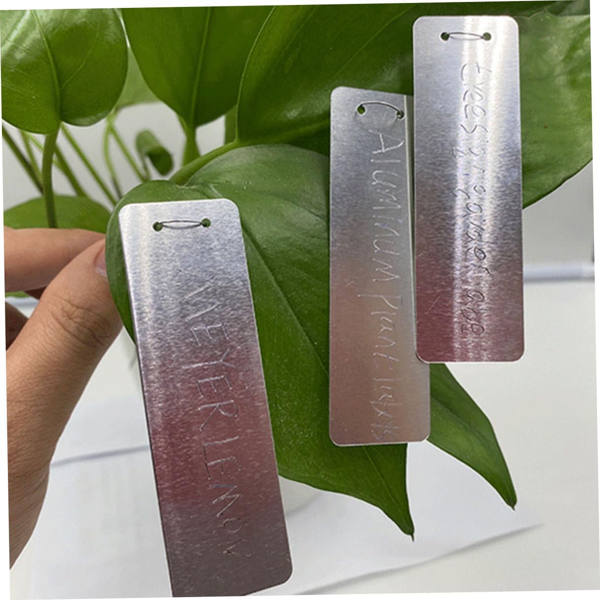 BESTonZON 100pcs Metal Plant Labels Garden Tags Reusable Plant Name Tags for Outdoor and Succulents Sturdy