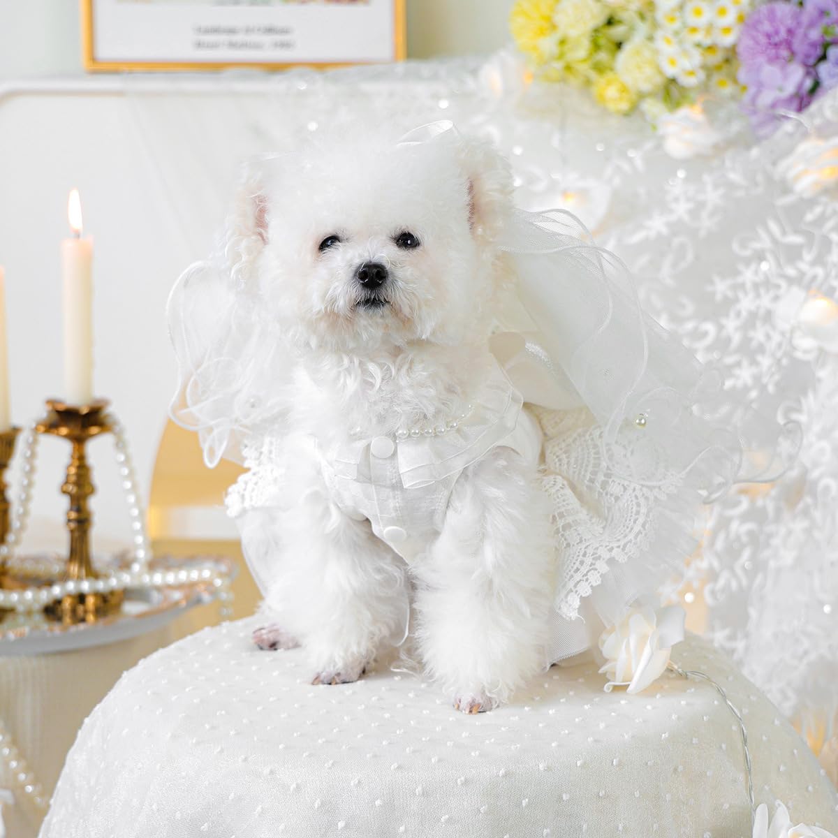 Hochzeitskleid für Hunde mit Kopfbedeckungen, luxuriöses Spitzenkostüm für Hunde, Partybekleidung für kleine Haustiere, Schleifenkleid, Größe XS