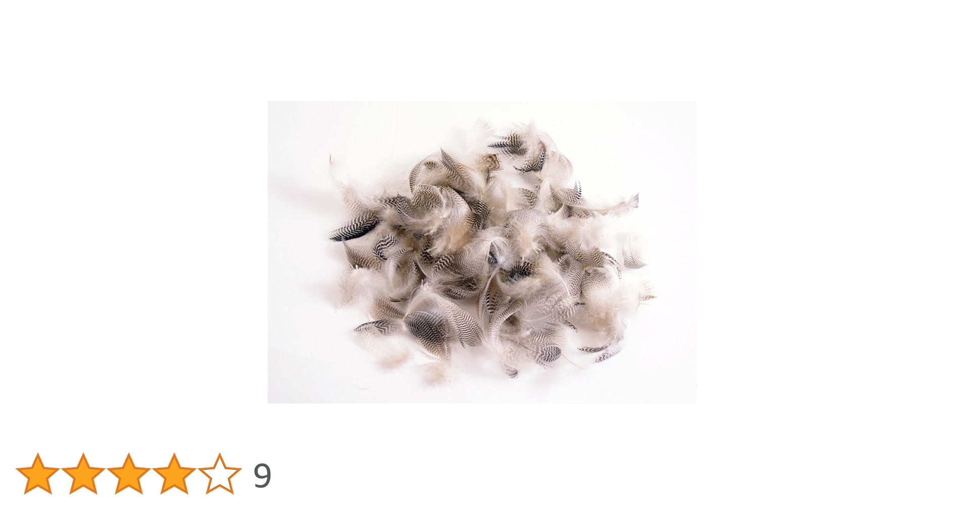 Fly fishing マテリアル 素材 タイイング　針　羽 Fly fishing マテリアル 素材 タイイング 針 羽 Fly fishing