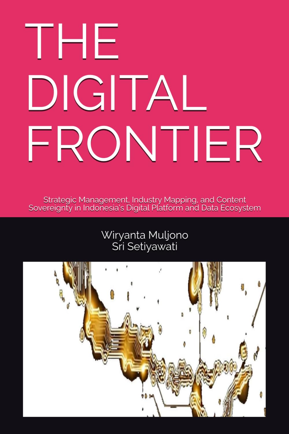 THE DIGITAL FRONTIER: Strategic Management, Industry Mapping, and Content Sovereignty in Indonesia's Digital Platform and Data Ecosystem: 2 (Digital Governance and Resilience Series)