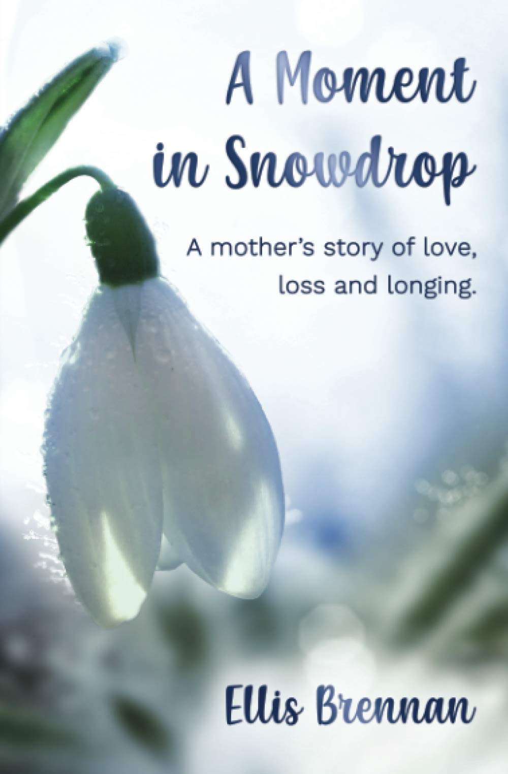 A Moment in Snowdrop: a mother's story of love, loss and longing