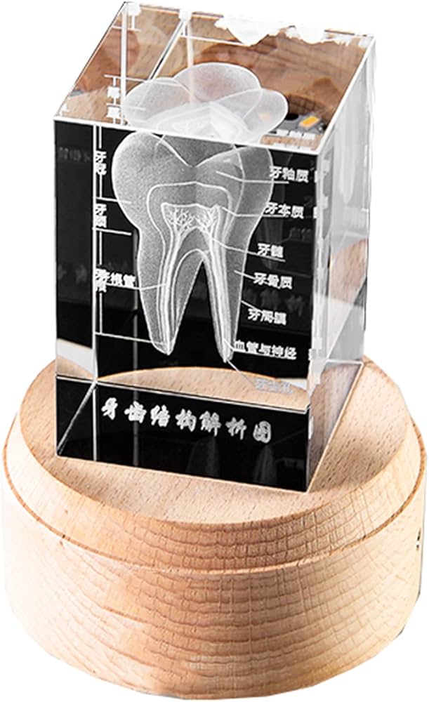 3D クリスタル　歯 3D クリスタル 歯 【公式通販】