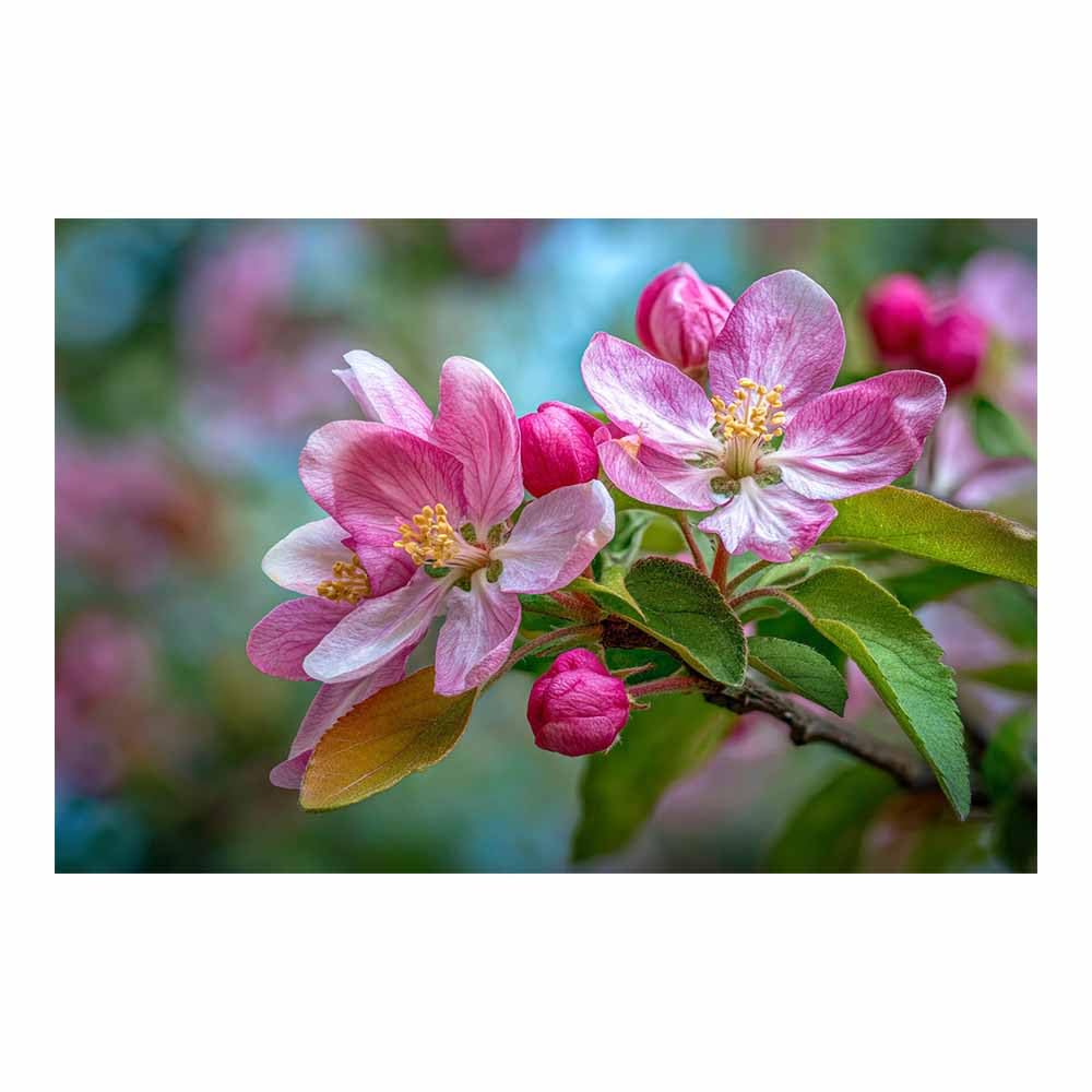 ZAMAEIU Landscape Wall Art Branch-bursting flower Artwork for Walls, Canvas Prints Paintings Room Decor, for Bedroom Kitchen Office Fireplace Wall Decor(pink)-20x30cm Unframed