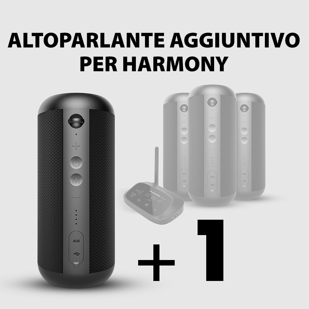 Avantree Bluetooth e Altoparlante Aggiuntivo Multi-room per Harmony Set