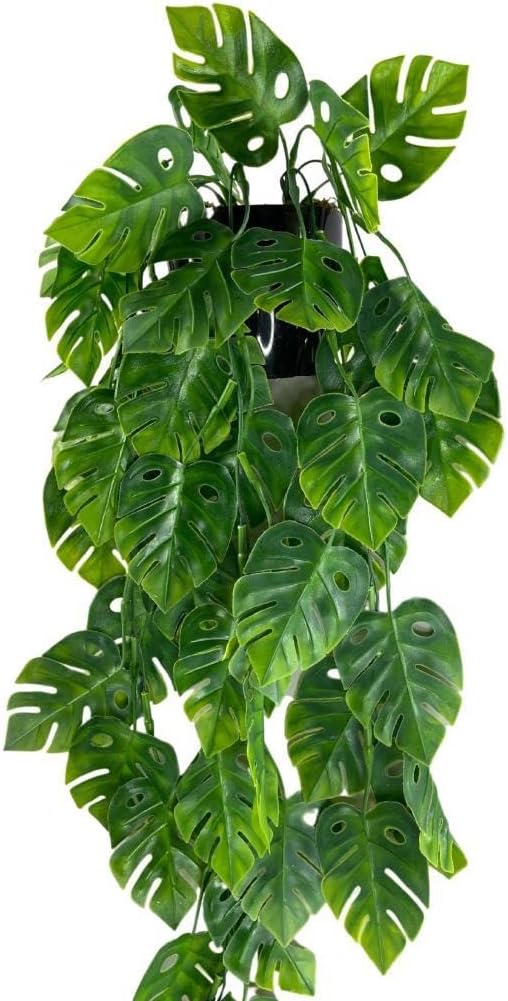 Yapay Çiçek Saksıda Sarkan Monstera Deve Tabanı Yapay Sarmaşık Pastel 60cm