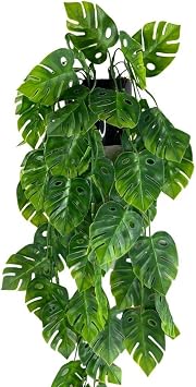 Yapay Çiçek Saksıda Sarkan Monstera Deve Tabanı Yapay Sarmaşık Pastel 60cm