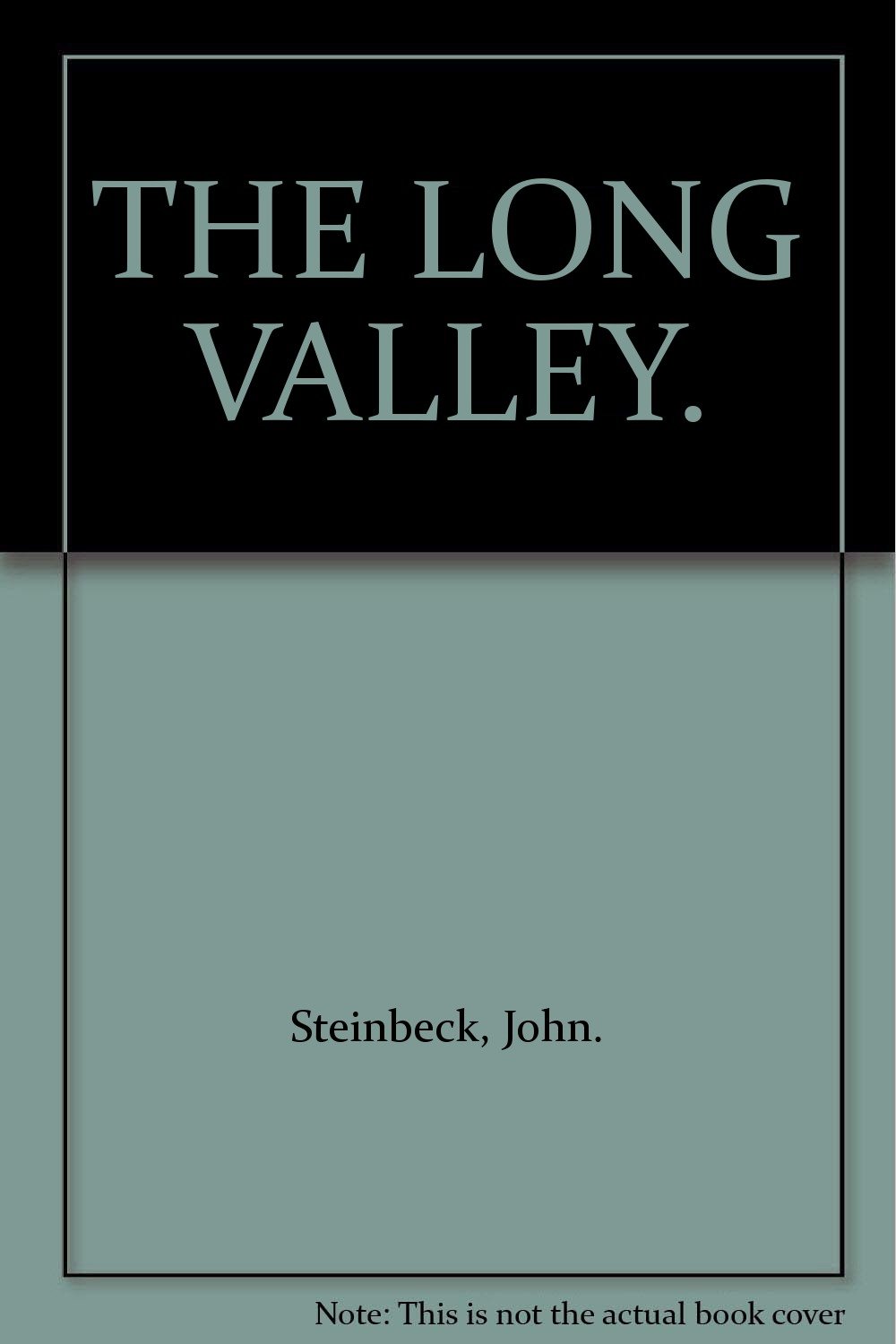 Cover of THE LONG VALLEY.