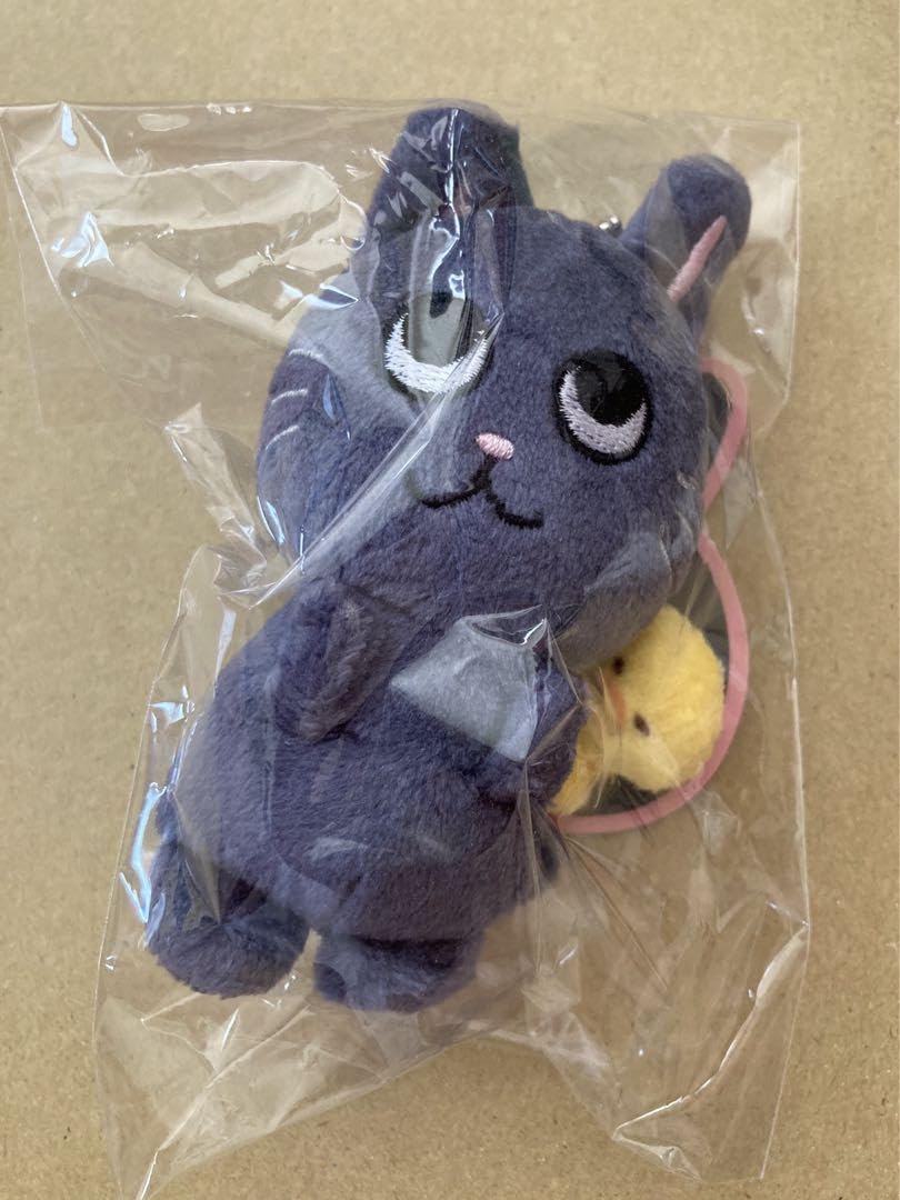 Amazon.co.jp: RIIZE Wonbin Plush Key Ring Mascot Warm Toy : Toys