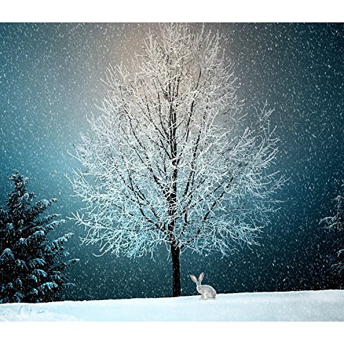 Amazon MusicでShakuhachi Sakano, Christmas Piano Music, White Noise Baby
