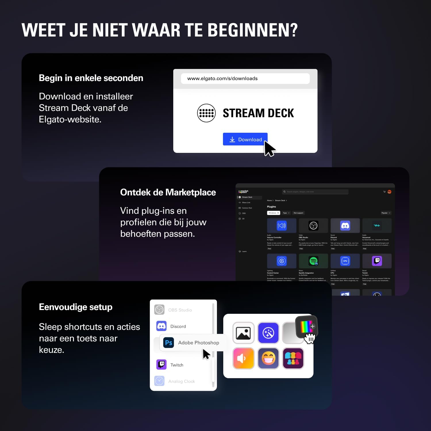 Vue 8