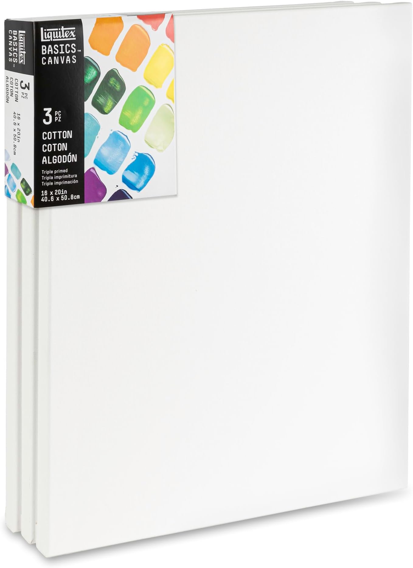 BASICS Canvas, 3 pack, 16" x 20"