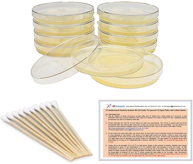 bacteria test kit