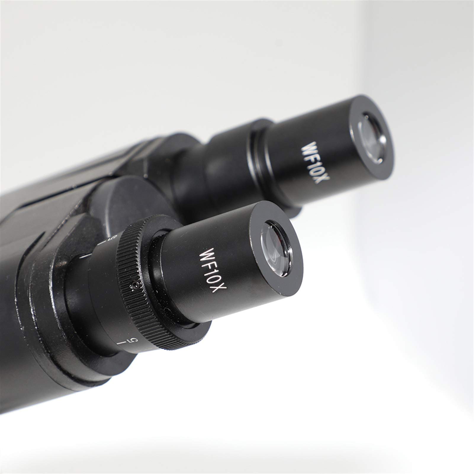 Microscopio Biológico Binocular Xs-P116B, 40X-640X, para Estudiantes Y Profesores De Ciencias De Laboratorio Escolar.