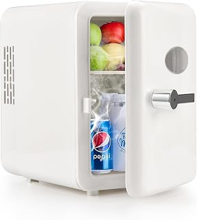 Mini Fridge, 4 Litre/6 Cans 12V Small Drink Fridge Car Fridge with Cooler & Warmer Portable Refrigerator for Cars Bedrooms Cosmetics Skincare