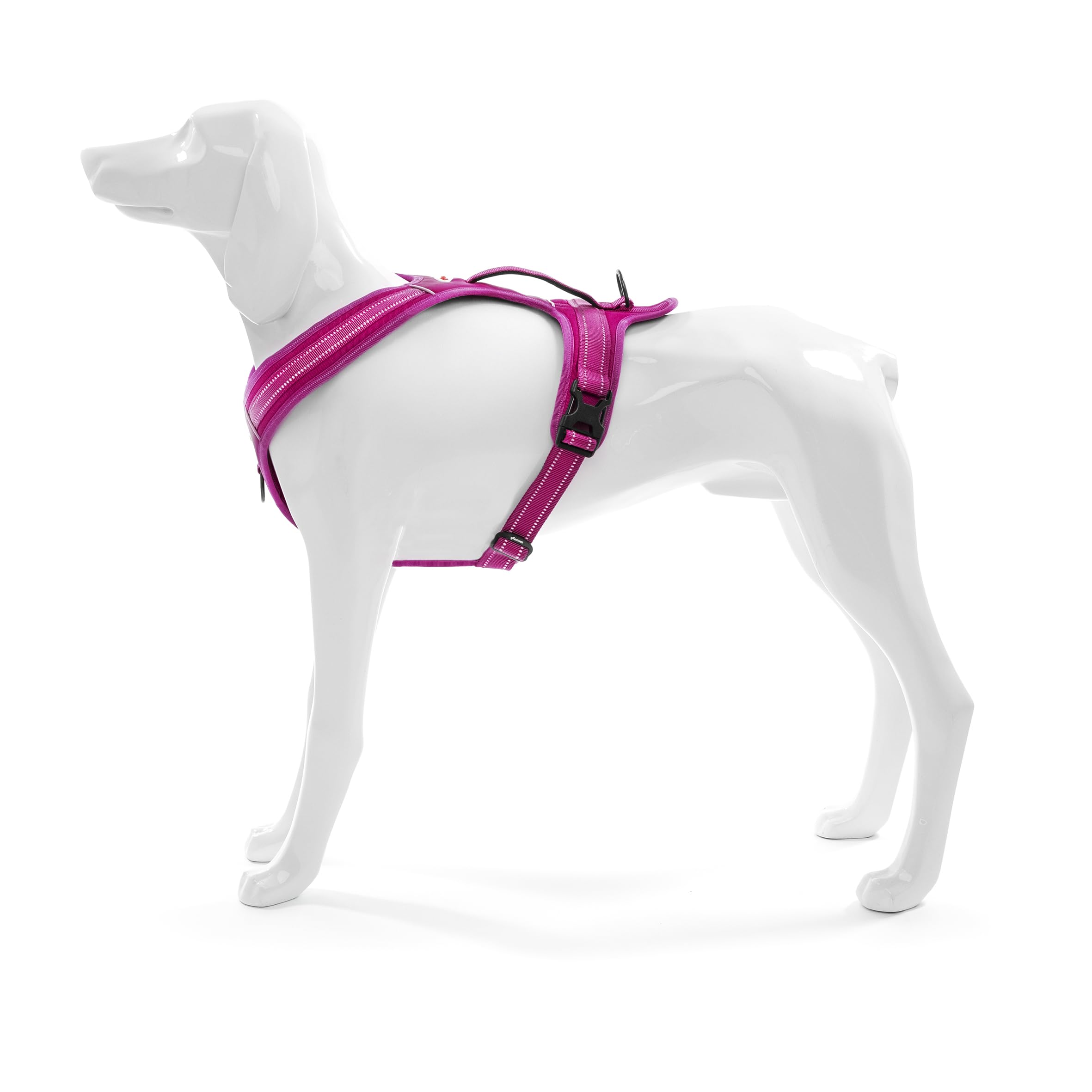 Record - Harnais pour chien Action Alpes - Couleur Fuchsia - Taille XL - Matière : Nylon Tressé avec Bandes Réfléchissantes 3M ScotchLite - Circonférence 90-125 cm