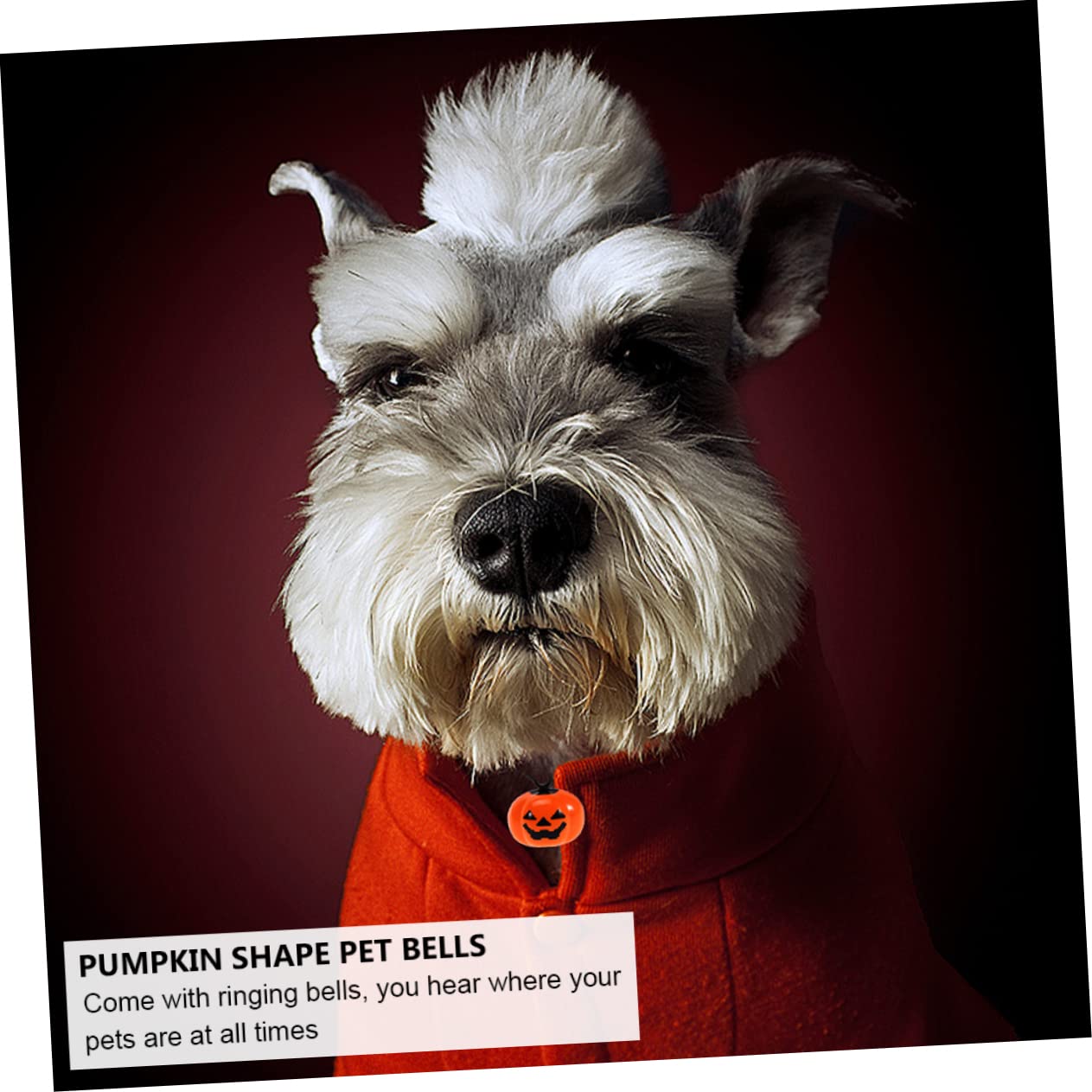 BCOATH Pumpkin Pet Bells 12pcs/Set Dog Cat Pet Necklace Safety Quick Release Buckle