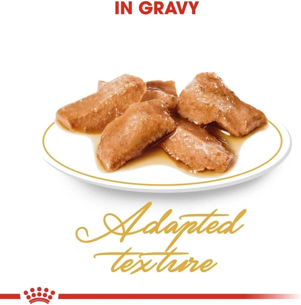 Royal Canin Maine Coon Adult | Confezione Doppia | 2 x 12 x 85 g | Cibo umido per gatti | Specificamente adattato alle esigenze dei gatti Maine Coon | Contenuto energetico adeguato