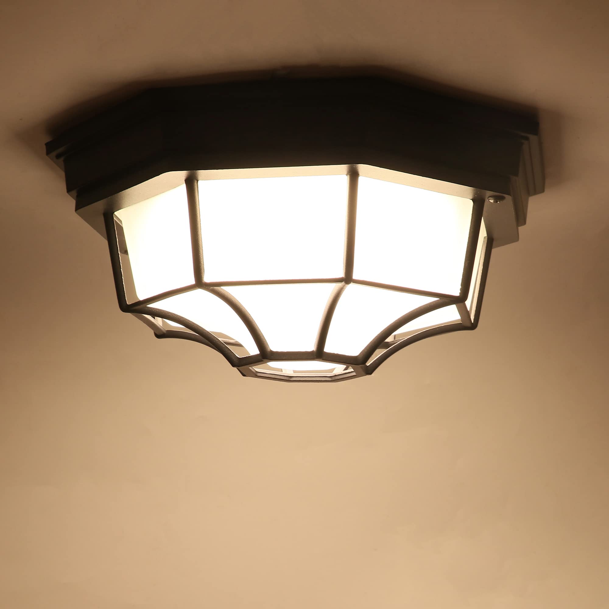 Buy C Cattleya LED Motion Sensor Outdoor Flush Mount Dusk to Dawn Matte