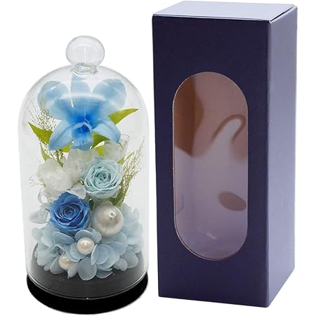 Amazon 花まりか お供え 花 お供え花ドーム ガラスドーム プリザーブドフラワー 仏花 ブルー プリザーブドフラワー オンライン通販 Amazon 花まりか お供え 花 お供え花ドーム ガラスドーム プリザーブドフラワー 仏花 ブルー プリザーブドフラワー オンライン通販