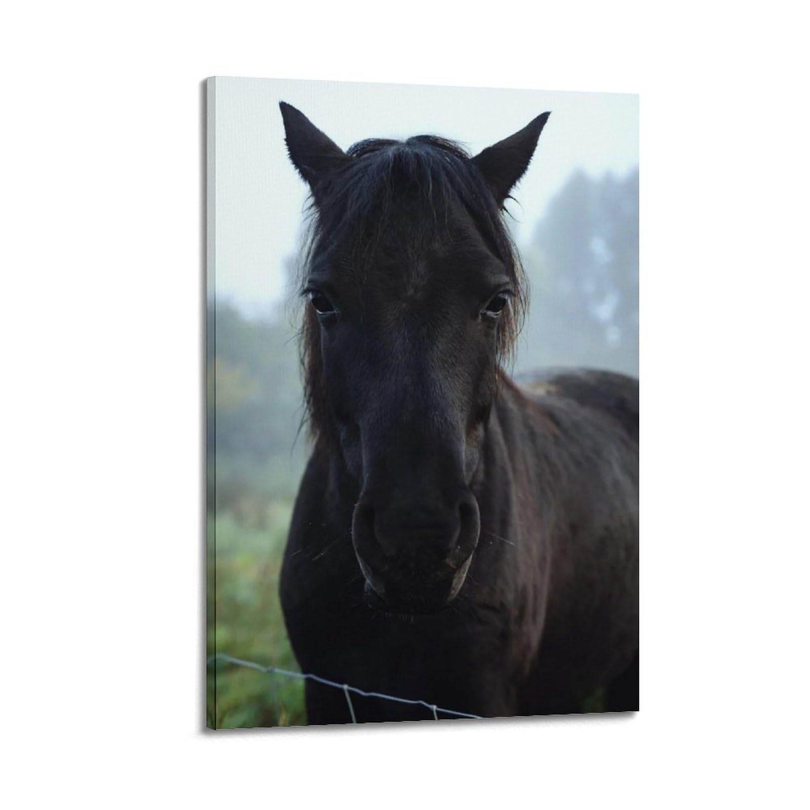 XKUGA Equestrian Pasture Poster Vintage Mysterious Black Stallion Modern Decorative Canvas Prints - Ideal Wall Art for Family, Man Cave, Game Room, Boys & Girls Bedroom 16x24inch(40x60cm)
