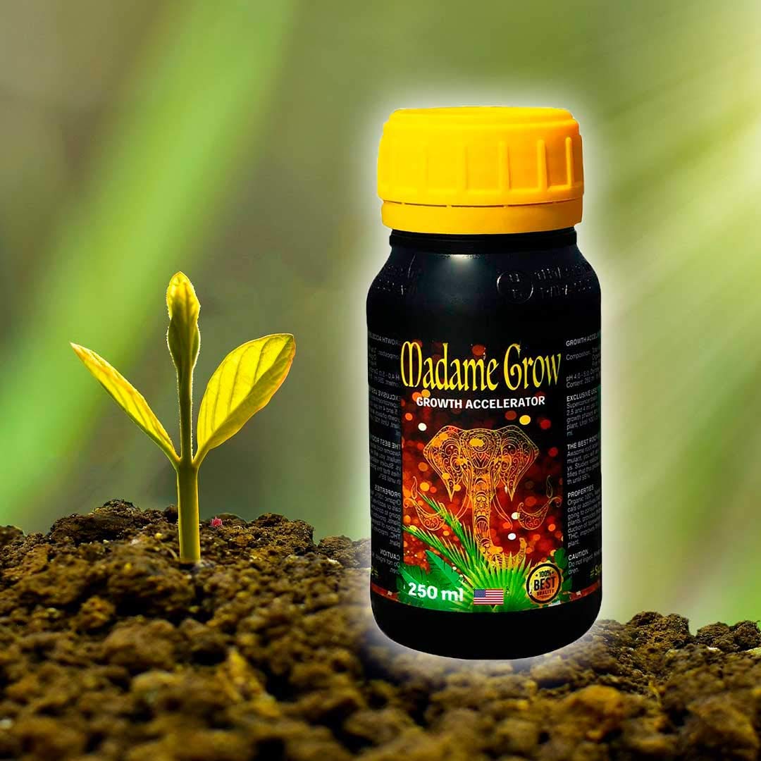 MADAME GROW WURZELWACHSTUM Pack