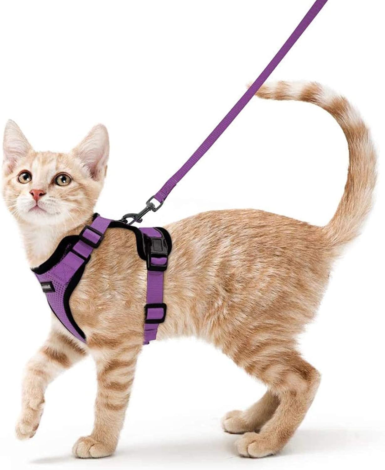 rabbitgoo Cat Harness and Leash for Walking, Escape Proof Soft Adjustable Vest Harnesses for Cats, Easy Control Breathable Reflective Strips Jacket, Purple, S S Purple