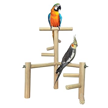 Jumbo 16 Inches / 40.5 cm Two Levels Training Gym Cum Exercise Stand with 6 Stairs Natural Wood Playful Perch Bird Stand/Bird Toy