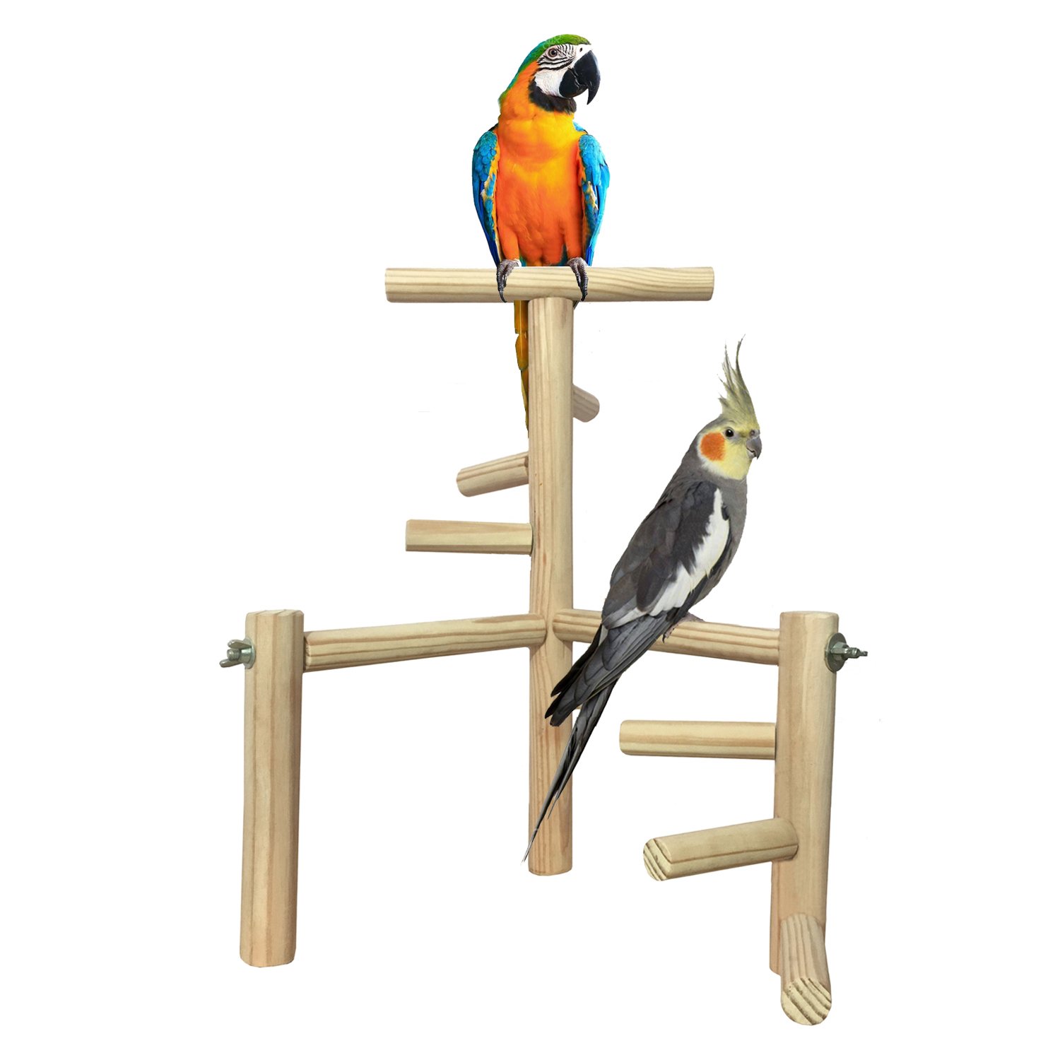 See full amazon price history chart for Jumbo 16 Inches / 40.5 cm Two Levels Training Gym Cum Exercise Stand with 6 Stairs Natural Wood Playful Perch Bird Stand/Bird Toy Jumbo 16 Inches / 40.5 cm Two Levels Training Gym Cum Exercise Stand with 6 Stairs Natural Wood Playful Perch Bird Stand/Bird Toy (B07BT4Y43M) Amazon Price History, Amazon Price Tracker