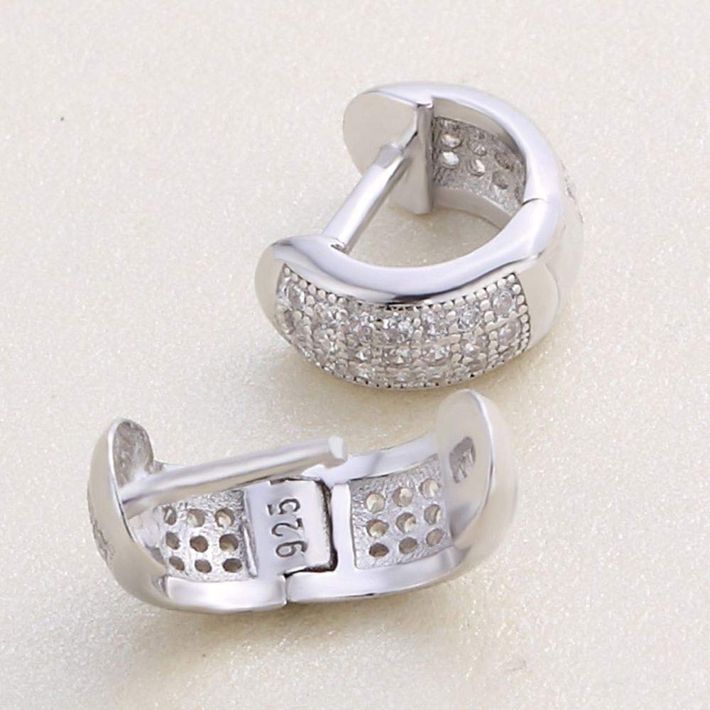 Ohrringe Hoops Bolzen 925 Sterling Silber Hoop Ohrringe für Frauen Schmuck Luxus Zirkonia Ohrpiercing Circle Hoops hohl Ohr -Modezubehör