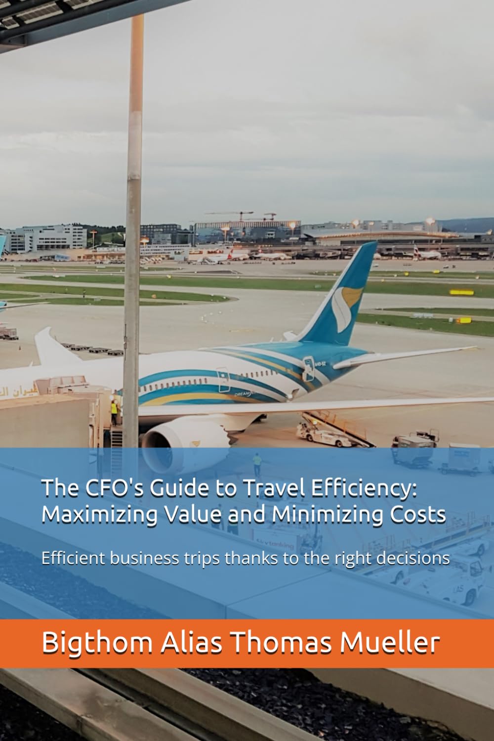 The CFO's Guide to Travel Efficiency: Maximizing Value and Minimizing Costs: Efficient business trips thanks to the right decisions (Travel and Visa Management)