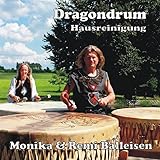  Dragondrum - Hausreinigung