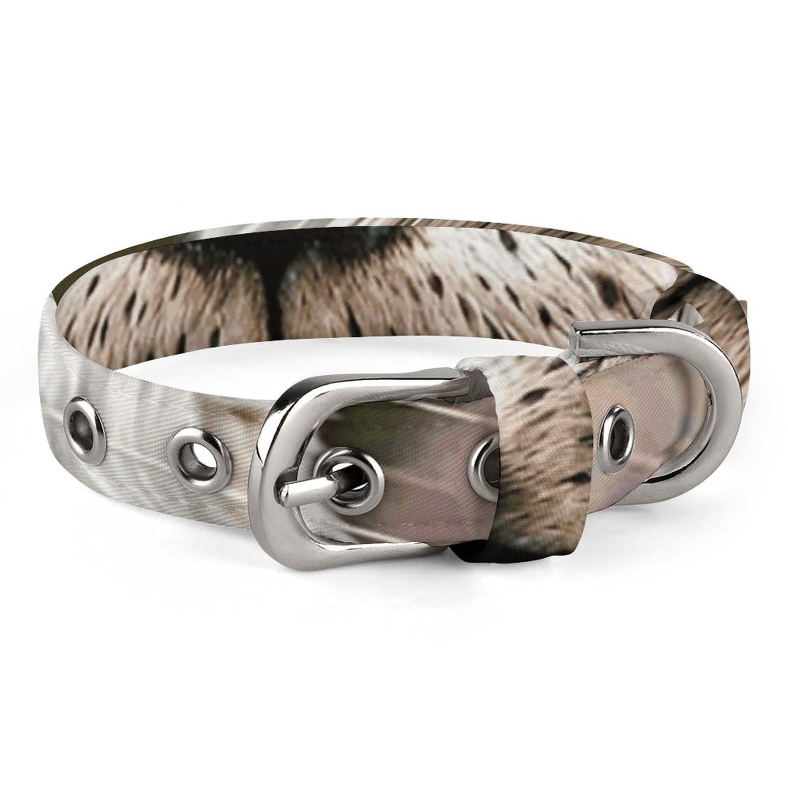 Collier personnalisé chat motif loutre pour promenades en ville