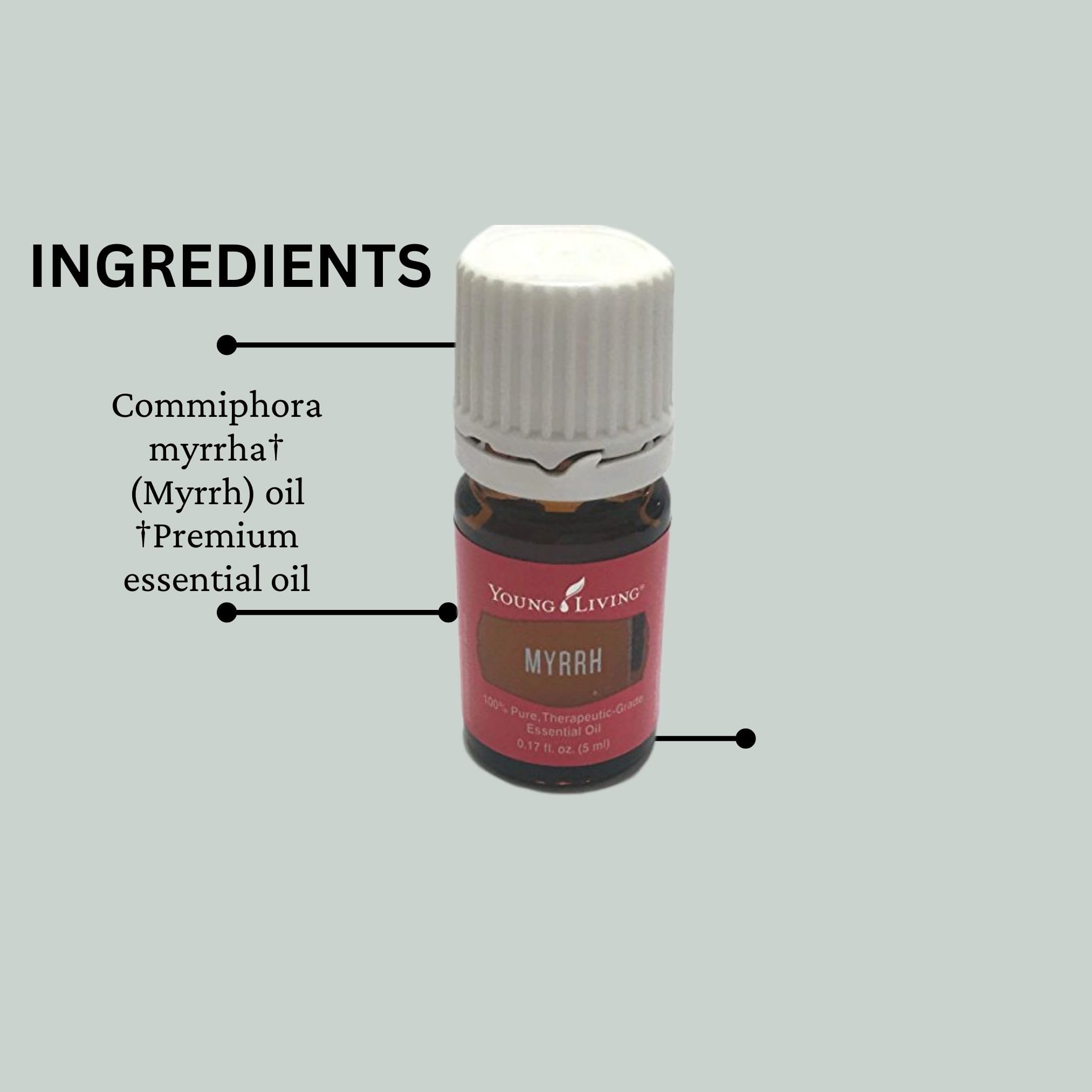 Young Living ミルラ エッセンシャルオイル 5ml Amazon.com: Young Living Myrrh Essential Oil | 15 ml | Warm