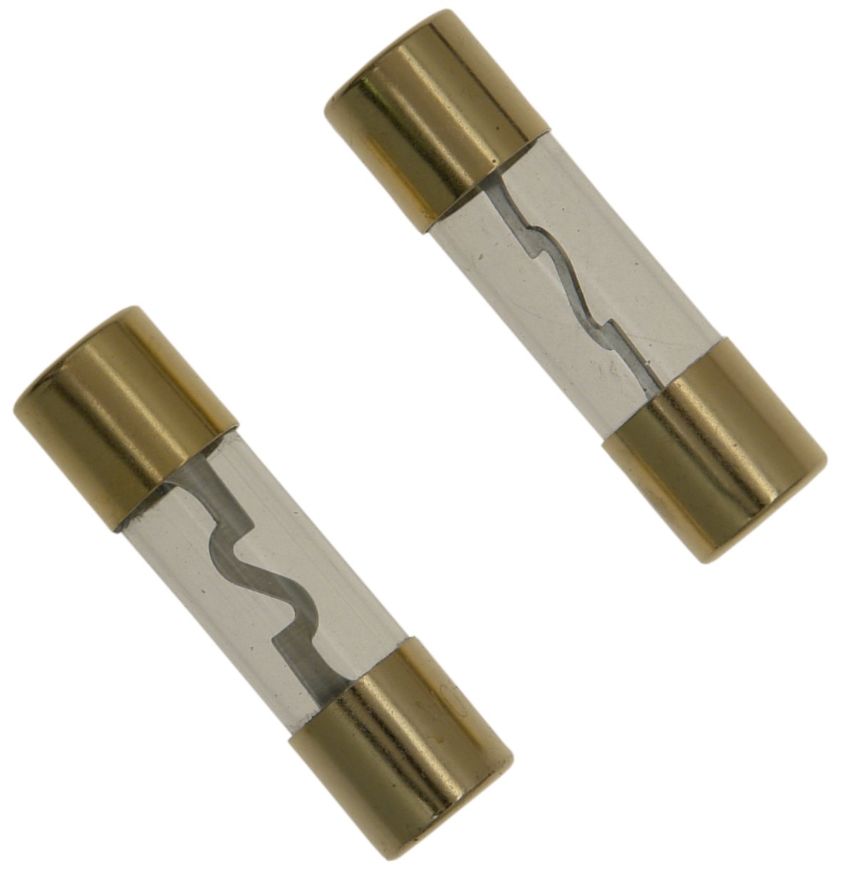 Celsus F40 40 Amp Agu Fuse (Pack Of 2)