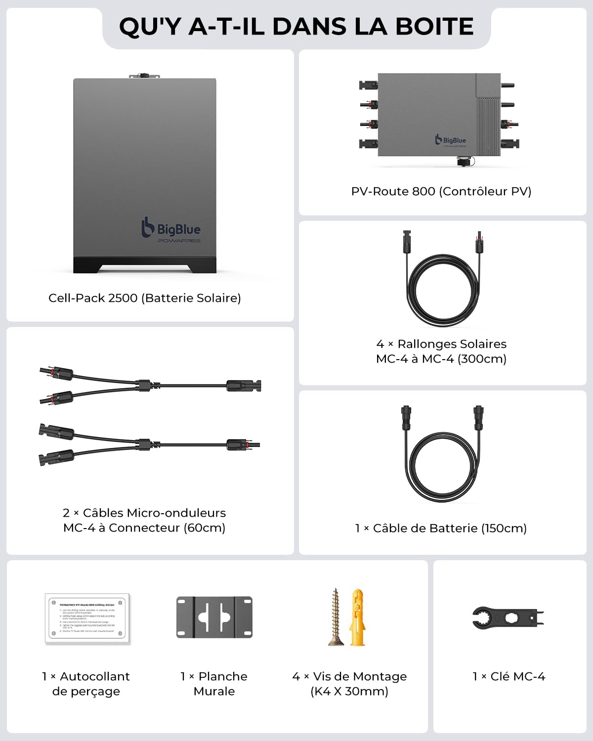 【Fonctionne à -20 °C et 2,56kWh-Batterie LiFePO4】BigBlue Powafree Station Électrique pour Balcon, IP67 Étanche, 3 Traceurs MPPT avec Entrée Solaire 800W, Plug & Play, Contrôle par APP