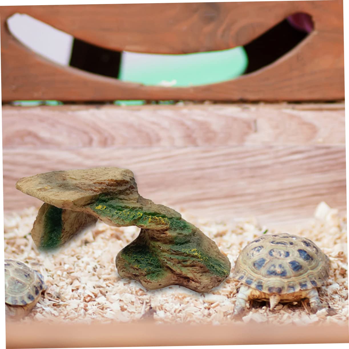 HAPINARY Turtle Platform Large Turtle Tank Reptile Enclosure Basking Platform for Aquarium Decor